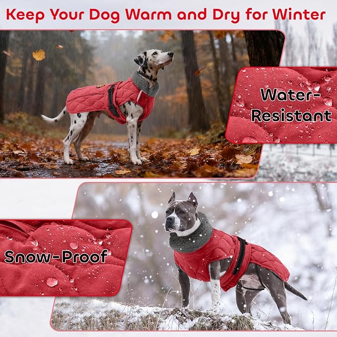 Dog Coats, Warm Puppy Apparel with Fleece Lining for Cold Weather, Windproof Medium Dog Winter Jacket, Reflective Dogs Snow Coat with Leash Hole and Adjustable Buckle, NewRed M