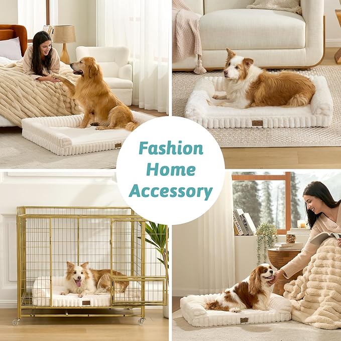 Cute Dog Bed for Medium Dogs, Faux Fur Orthopedic Foam Dog Bed with Sides, Removable Washable Cover & Waterproof Lining, Comfortable Pet Couch, Cream (36" L x 27" W x 6.5" Th)