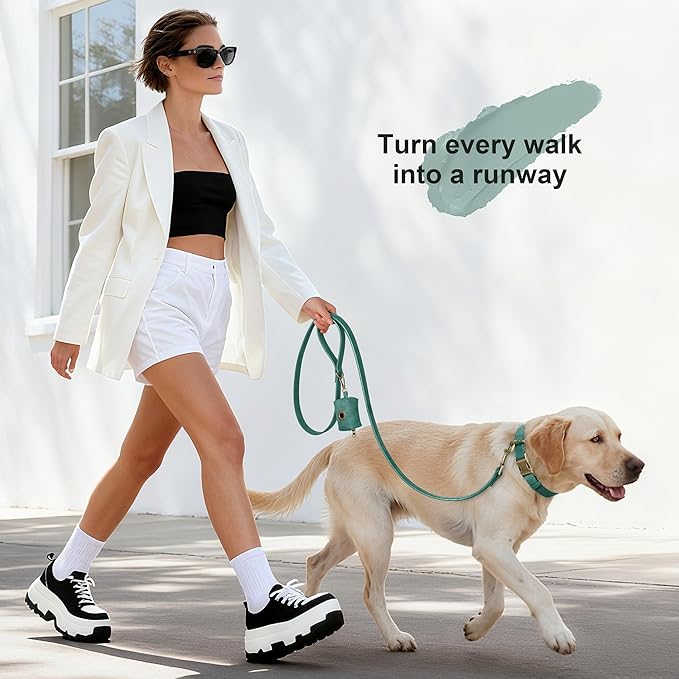 Didog Soft PU Leather Dog Collar, Stylish Quick Released Dog Collars for Large Dogs, Easy Clean Adjustable Pet Collar for Daily Walking, Green, XL Fit 17-27" Neck