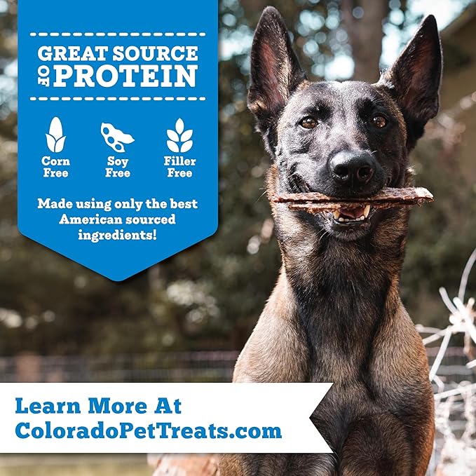 Fresh Field Salmon & Sweet Potato Jerky Chips, 14 oz – All-Natural Dog Treats, USA Made, Omega-3 Rich, Supports Health (Pack of 2)