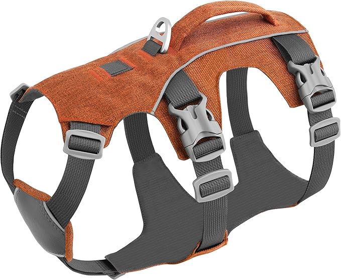Escape Proof Dog Harness Small Sized Dog, Reflective No Pull Dog Vest with Handle, Lightweight Full Body Pet Harness Adjustable for Walking,Training(Orange,Chest:16-27")