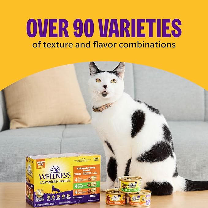 Wellness Complete Health Minced Adult Wet Cat Food, Natural, Protein-Rich, Grain Free, 3 Ounce , 24 Pack, (Chicken Entrée)