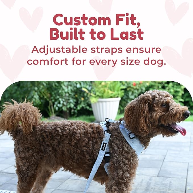 No Pull Neoprene Dog Harness and Leash Set for Small Dog, Neck(18.9–24 in), Adjustable Soft Mesh Design, Blue L -Lightweight No Choke Fit, Step-in, Escape-Proof Comfort