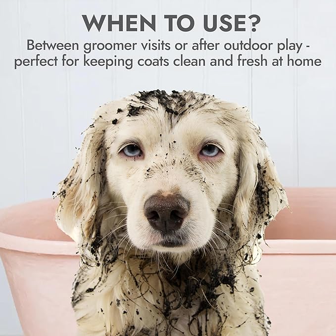 Kong Oatmeal Dog Shampoo, Soothes & Moisturizes, Oatmeal & Honey Scent - 18 fl oz, Biodegradable, pH-Balanced, Sulfate-Free, Cruelty-Free, for Sensitive Skin, All Coat Types, Made in USA