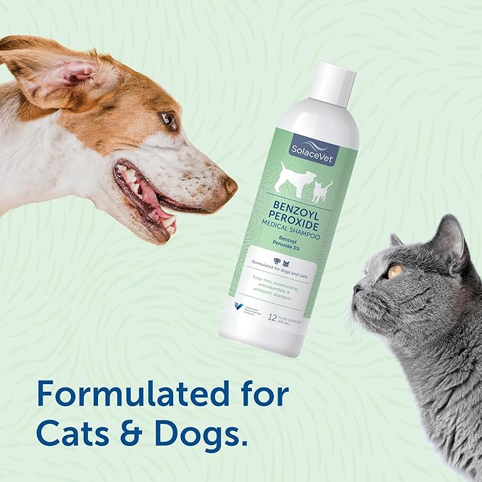 SolaceVet Benzoyl Peroxide Medical Shampoo 12 oz – Vet Recommended Degreasing & Anti-Itch Wash for Dogs & Cats