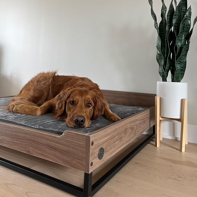 Milo TailZzz Wooden Dog Bed & Couch with Water-Resistant Mattress, Large to Extra Large Elevated Pet Bed with Calming Mattress, Greenguard Gold Certified