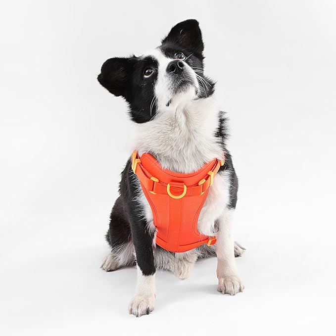 HNS1003A Arlo Large Adjustable Soft Padded No Pull Pet Harness with 3 Buckles and 3 Leash Clips, Aperol