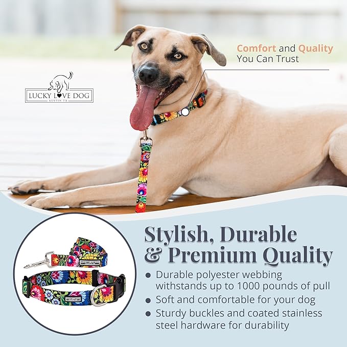 Lucky Love Dog - Easy Click Buckle Dog Collar with Leash Set Combo, Durable & Comfortable for Male & Female Dogs, Pet Collar for Small to Large Dogs, Secure Fit - Blackbird Combo, Large