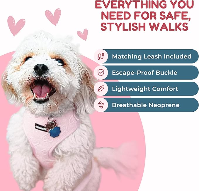 No Pull Neoprene Dog Harness and Leash Set for Extra Small Dog, Neck(8.6–12.2 in), Adjustable Soft Mesh Design, Pink XXS -Lightweight No Choke Fit, Step-in, Escape-Proof Comfort