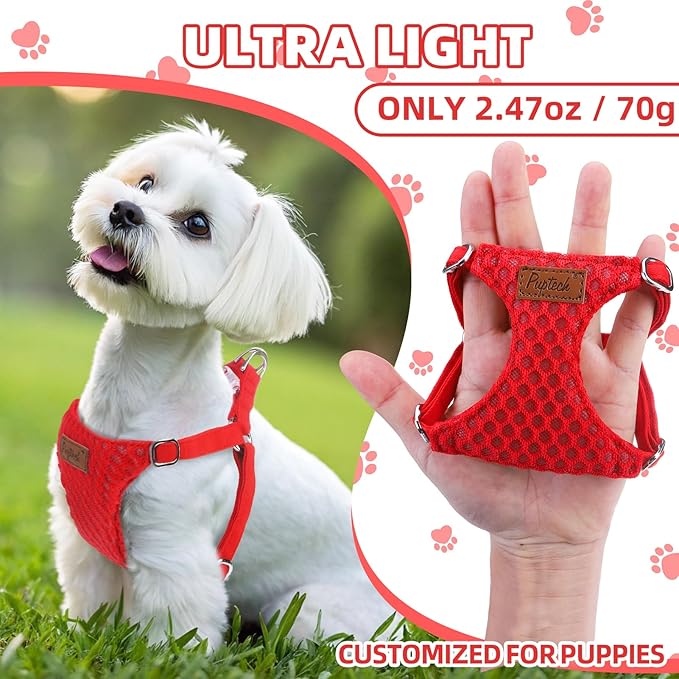 PUPTECK Dog Harness and Leash Set Small Sized, Step-in Cute Puppy Harness, Soft Lightweight Padded Vest, Escape Proof No Pull Pet Harnesses Easy for Walking, Red, M