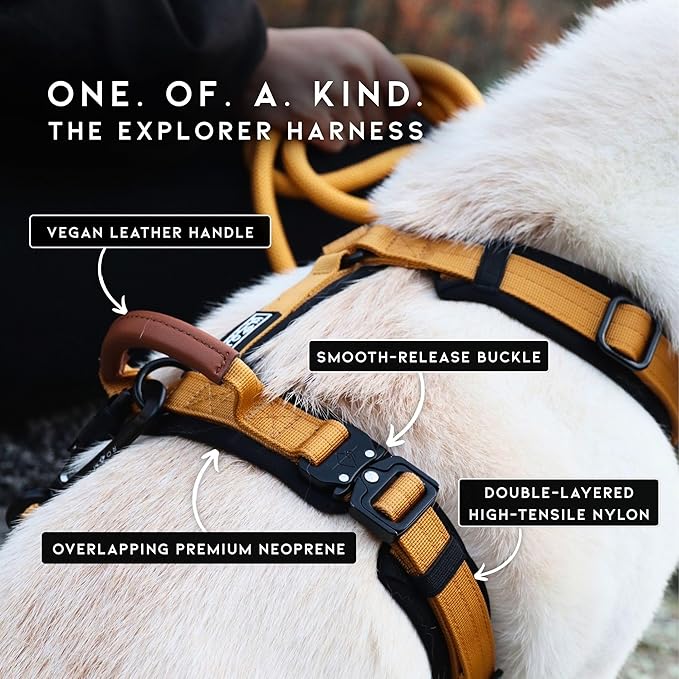 MADE TO ROAM Premium Explorer Harness - Y-Shaped Dog Harness with Adjustable Durable Nylon, Soft Padding, Metal Buckles and Leather Handle for Small, Medium, Large Dogs (Nevada Evening, Size 5)