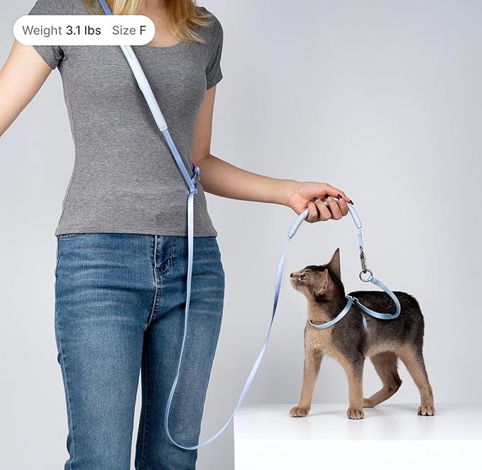 Cat Harness and Leash Set, Lightweight Escape Proof Cat Harness Leash with Padded Handle, Adjustable Cat Leash and Harness for Kitten Small Large Cats Walking Training (Vivid Red, S)