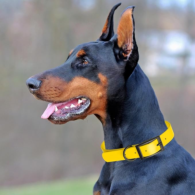 Dogline Biothane Coated Webbing Dog Collar with Black Metal Hardware: Durable Easy-Clean Everyday Collar for Dogs - Comfortable Adjustable Odor-Resistant Pet Collar, W1 x L18-22, Lemon Yellow