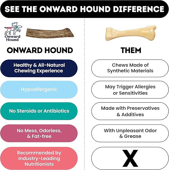 Onward Hound Elk Antlers for Dogs, 7"+ Large 1-Pack, Grade A Long Lasting Chew for Aggressive Chewers, Premium USA Naturally Shed Antler - Healthy, No Odor, Durable Dog Chew for 30-65lb Breeds