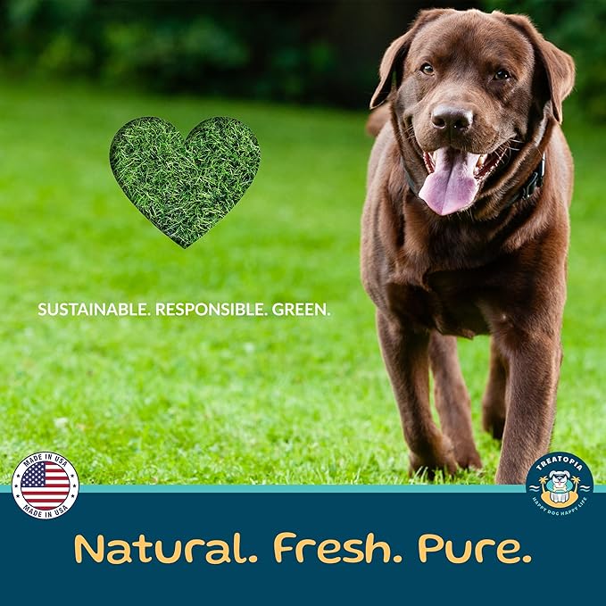 TREATOPIA Lamb Lung Nuggies Bites Dog Treats, 2 LB Bag - All-Natural, Sustainable, Healthy, High Protein, Hand-Trimmed, Slow-Roasted, Made in The USA, Nutritious, No Additives, No Fillers