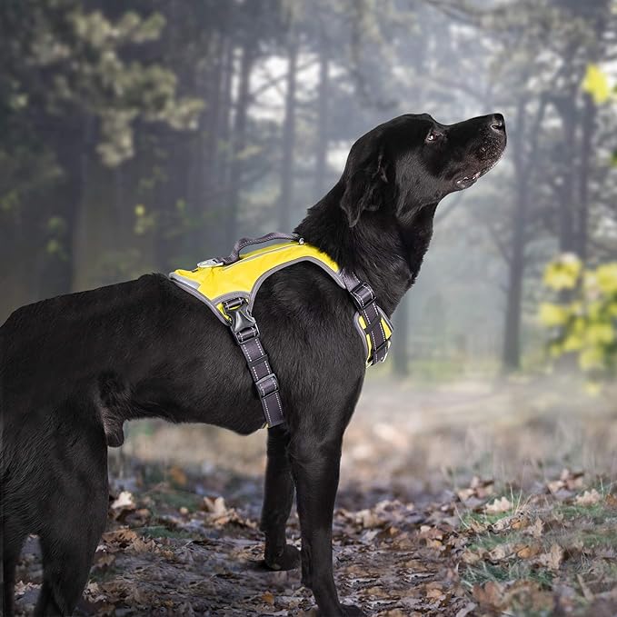 Fida Dog Harness, Multi-Functional No-Pull Pet Vest Harness with Saddle Bags Backpack, Front Leash Clip, Adjustable Soft Padded Reflective No-Choke Dog Vest Heavy Duty for Large Dog, L, Yellow