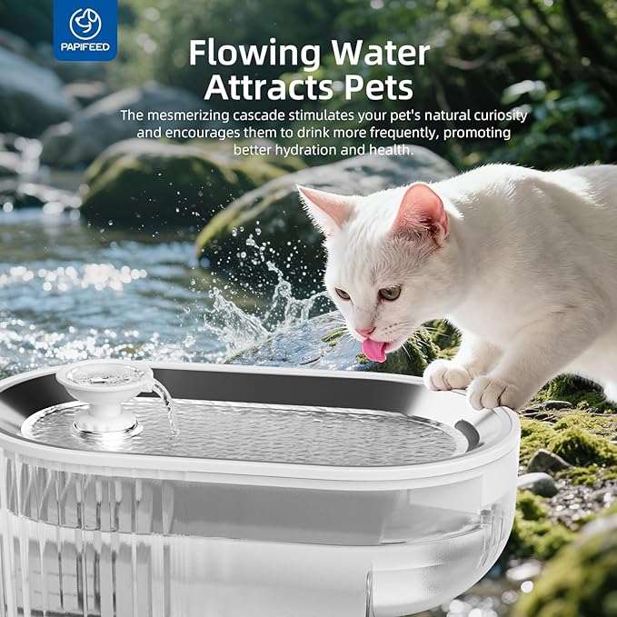 PAPIFEED Cat Water Fountain+ Stainless Steel Tray + 1 Silicone Mat+5 Filters+2 Sponges, 84 oz/2.5L Automatic Pet Drinking Fountain, Ultra Quiet Pet Fountain with Stainless Steel Tray, Easy to Clean