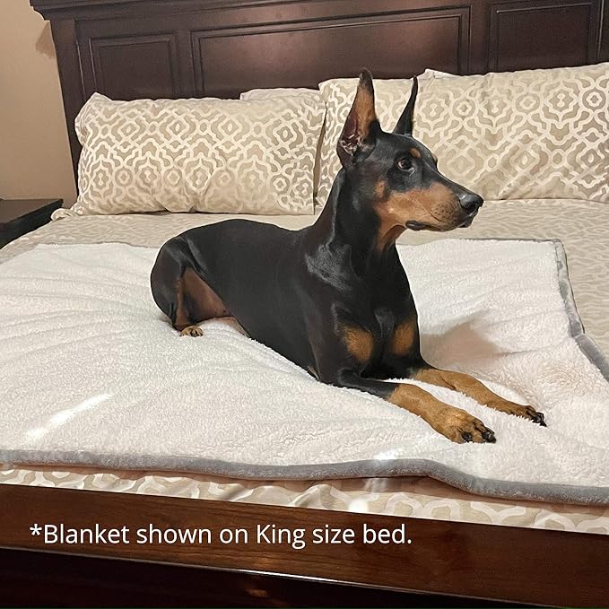 4Knines Plush Reversible Waterproof Dog Blanket – Soft Sherpa & Microfiber Pet Throw – Durable Couch, Bed, or Crate Protector for Dogs – Machine Washable Pet Cover – 60x48 Inch – Grey Color