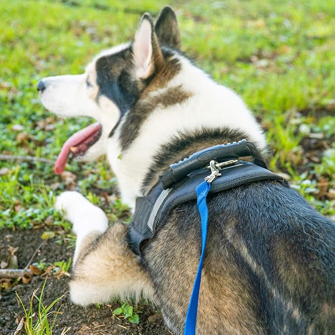 Hi Kiss Dog/Puppy Obedience Recall Training Agility Lead - 15ft 20ft 30ft 50ft 100ft Training Leash - Great for Training, Play, Camping, or Backyard - Pink 15ft