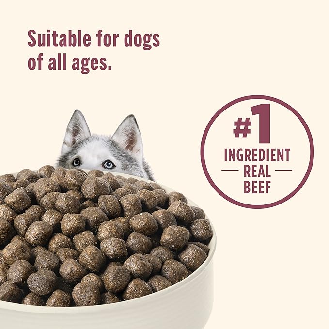 Nutrish High Protein Dry Dog Food Beef, Potato & Peas Recipe with Venison & Lamb, 23 lb. Bag, (Rachael Ray)