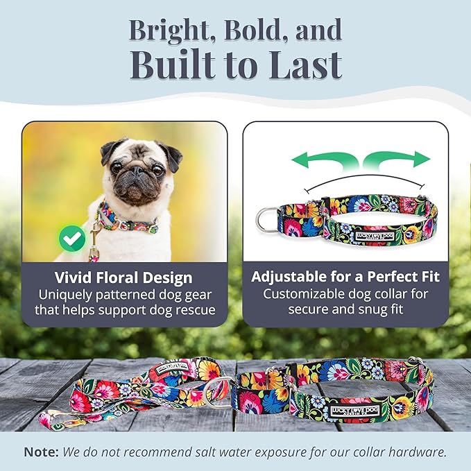 Lucky Love Dog Martingale Dog Collar & Leash - Adjustable, No-Slip, Durable, Comfortable, Soft Webbing, & Stylish Patterned Collar & Leash Set for Male and Female Dogs - Blackbird Combo, Large
