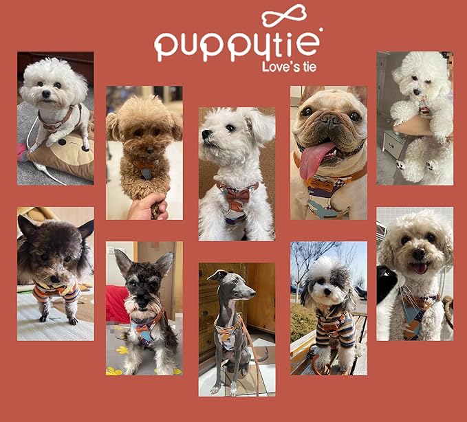 Puppytie No Pull xs Dog Harness with Multifunction Dog Leash,Soft Adjustable No Choke Escape Proof Pet Harness Vest,Suede Bow Brown,XS