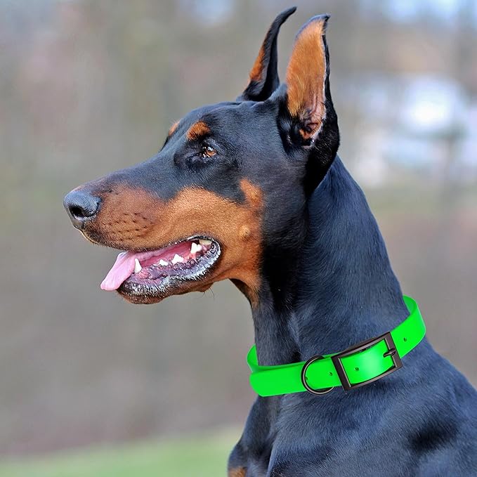 Dogline Biothane Coated Webbing Dog Collar with Black Metal Hardware: Durable Easy-Clean Everyday Collar for Dogs - Comfortable Adjustable Odor-Resistant Pet Collar, W5/8" x L12-15, Tropical Green