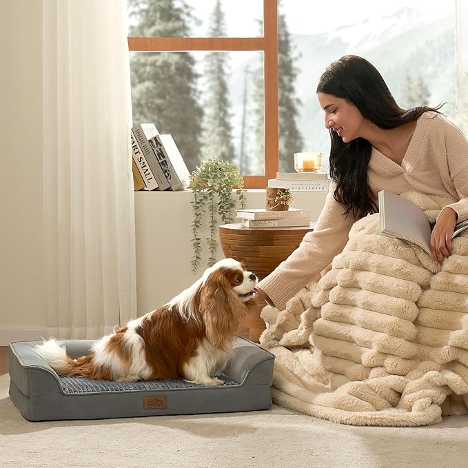 Orthopedic Dog Bed for Medium Small Size Dogs, Bolster Pet Couch with Waterproof Lining, Egg Crate Foam Sofa for Pets Up to 30 lbs, U-Shaped, 30x20x6.5 inch, Grey