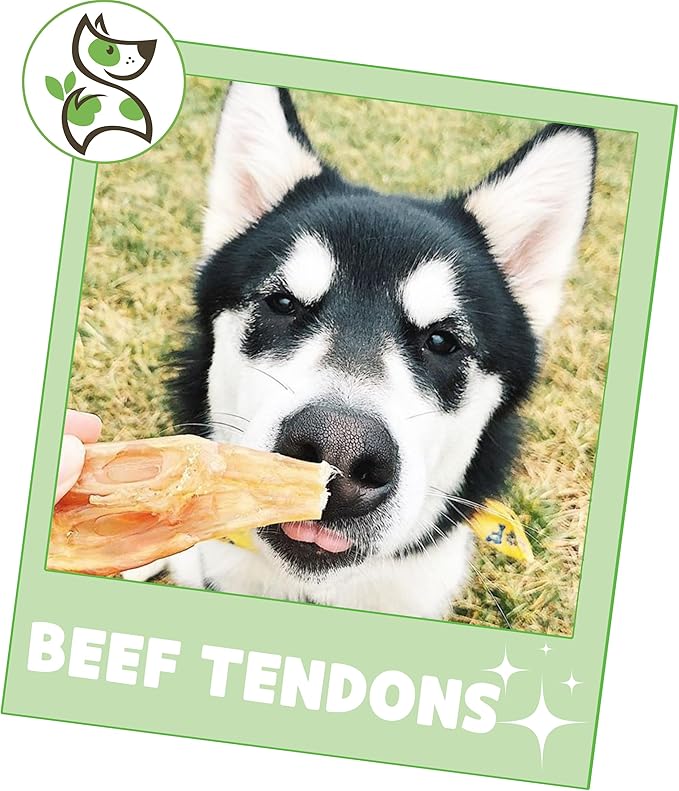 Nature Gnaws Beef Tendons for Dogs (1Lb) - Mixed Thickness - Long Lasting for Small and Medium Dogs - Natural Beef Jerky Dog Chew Bones - Rawhide Free
