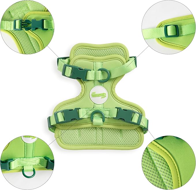 HNS1000B Arlo Extra Small Adjustable Soft Padded No Pull Pet Harness with 3 Buckles and 3 Leash Clips, Mojito