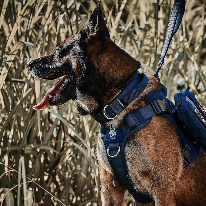 OneTigris Tough Dog Collars, Tactical Dog Collar with Handle, Milltary Adjustable Dog Collar with Heavy Duty Metal Buckle for Training (Medium,Blue)