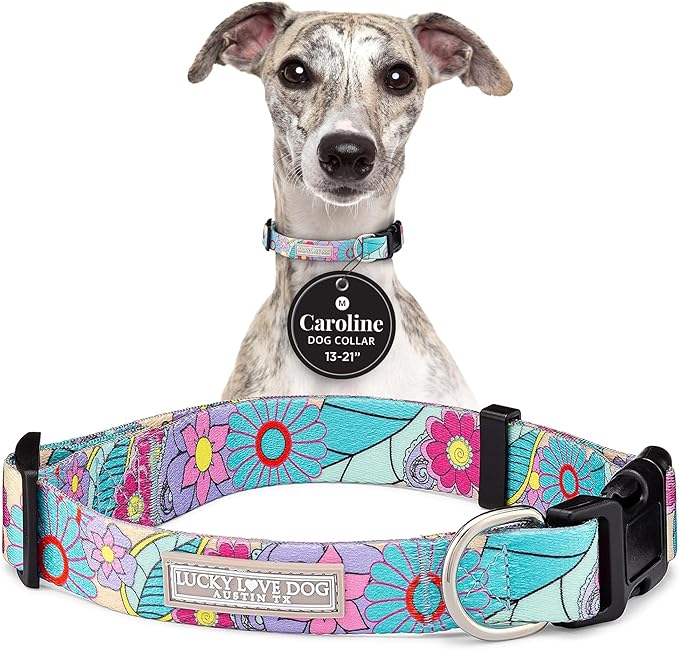 Lucky Love Dog Collars, Cute X-Small Dog Collars for Female Dogs, Part of Purchase Donated to Rescue, Caroline, Extra Small