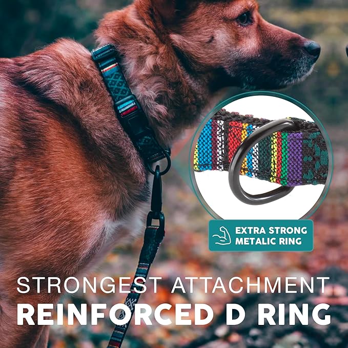 Embark Urban Dog Collar – Stylish & Durable Nylon Dog Collars for Small Dogs, Comfortable Pet Collar, Small Dog Collars for Male & Female Dogs with Strong Buckles. Adjustable Small Dog Collars