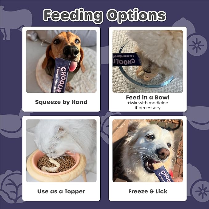 Choolip Squeeze Vita Stick Lickable Cat Treats & Dog Puree – 7-Count Brain Support Tubes, Creamy Grain-Free High-Protein Puree with DHA, Omega 3 & Vitamin B12 for Memory & Cognitive Health