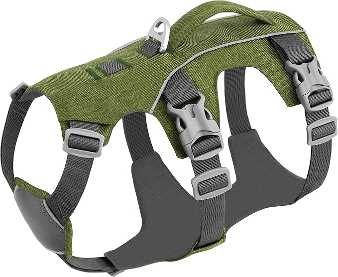 Escape Proof Dog Harness with Handle - Reflective No Pull Dog Vest, Lightweight Full Body Pet Harness Adjustable for Small Dogs Walking,Training(Green,Chest:14-22")