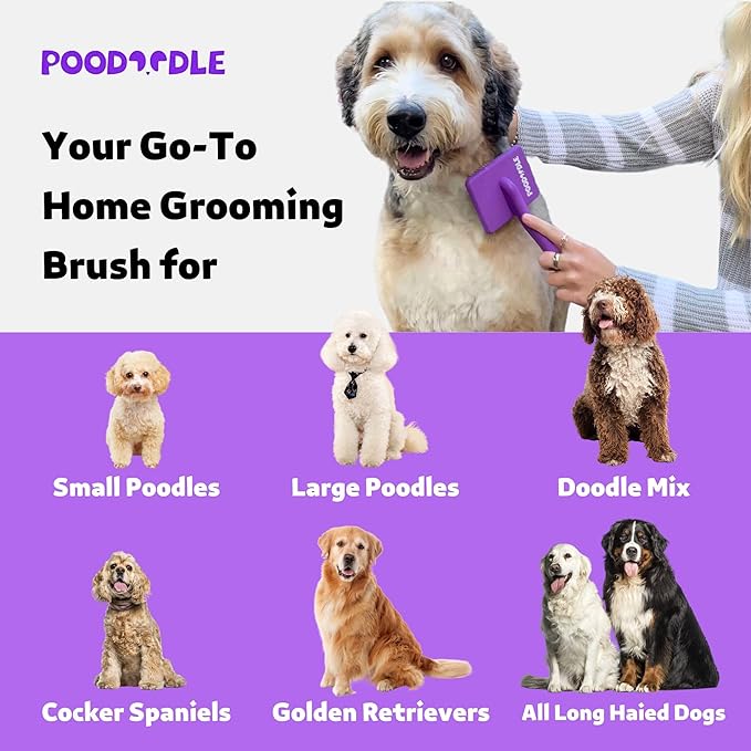 Dog Slicker Brush, Grooming Tool for Poodle, Doodle, Goldendoodle & All Long Haired Dogs, Long Pin Wood Brush Pefect for Dematting & Detangling, Effortless Grooming Pet Hair At Home - Large