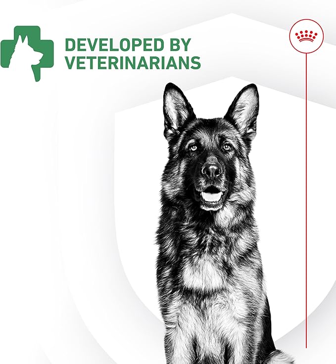 Royal Canin Probiotics for Dogs Digestive and Immune Health Powder Supplement for Dogs of All Ages, 30 Count (Pack of 3)