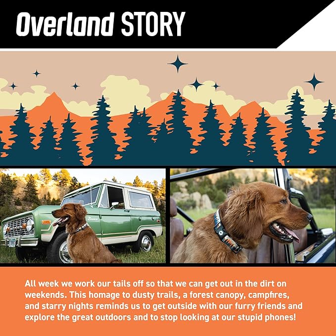Wolfgang Heavy Duty, Adjustable Dog Collar with Quick Release Nylon Buckle for Walking & Training, Overland Print, Medium