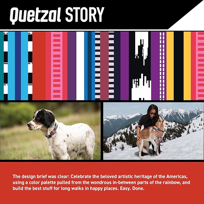 Wolfgang Heavy Duty, Adjustable Dog Collar with Quick Release Nylon Buckle for Walking & Training, Quetzal Print, Large