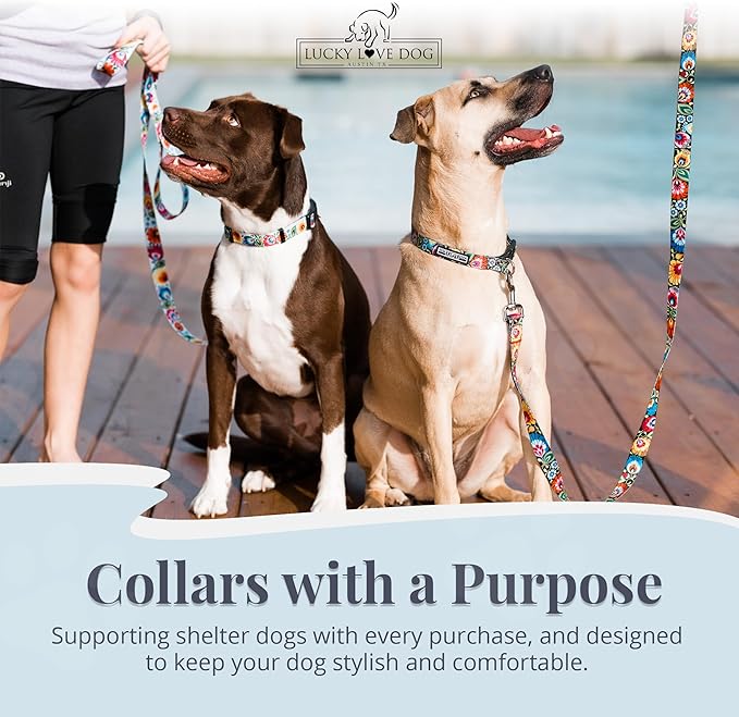 Lucky Love Dog - Easy Click Buckle Dog Collar with Leash Set Combo, Durable & Comfortable for Male & Female Dogs, Pet Collar for Small to Large Dogs, Secure Fit - Blackbird Combo, X-Small