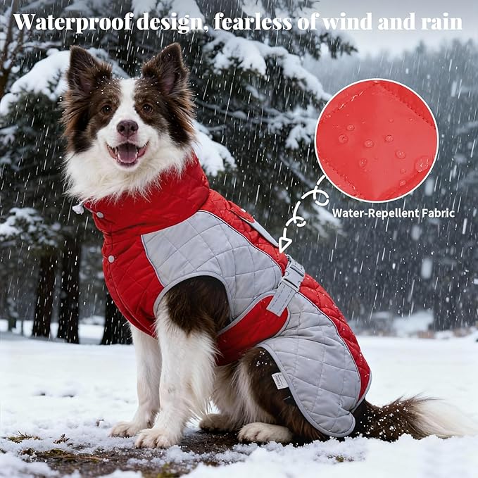 Dog Coat Dogs Jacket Waterproof Reflective Adjustable Dog-Winter Coats for Small/Medium/Large Dogs Dachshund Coat-(Red, Medium)