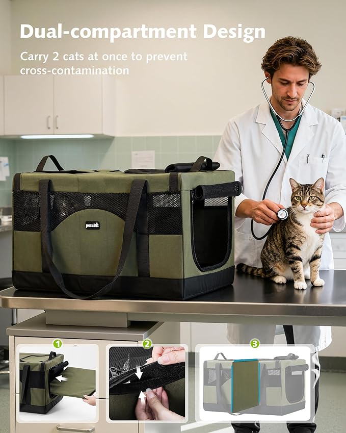 Pecute Cat Carrier for 2 Cats,Collapsible Soft Cat Carrier for Small to Medium Cat,can Hold 20lbs+ for Two Kitty Puppy,Stable and Secure Framework Design,Extra Large Dog Carrier for Travel,Green