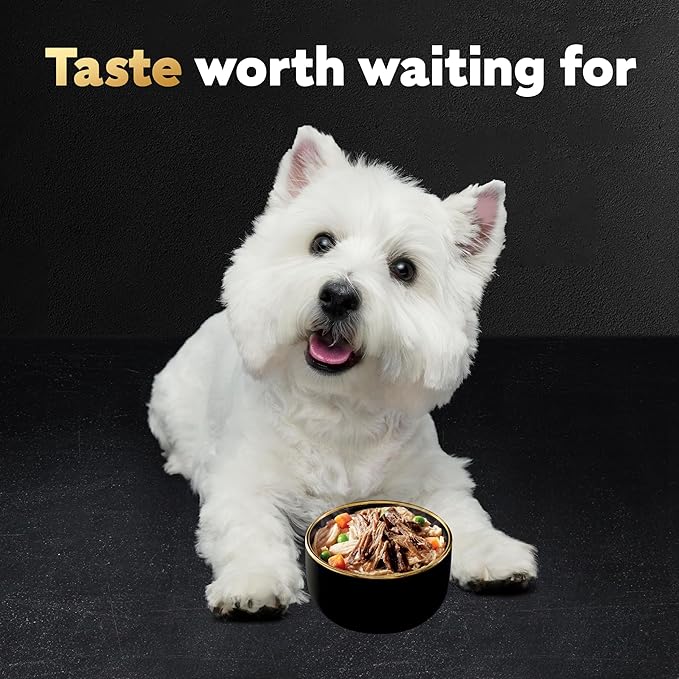 Cesar Warm Bowls Wet Dog Food Chicken & Beef Entree with Vegetables & a Hint of Cranberry in Broth, 2.7 oz. Bowls, 10 Count (Pack of 1)