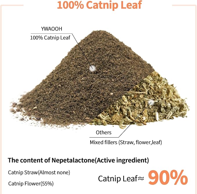 YWAOOH Premium Catnip for Cats & Kittens – Cold-Processed, High Potency Nepetalactone, 100% Pure Organic Leaf-Only Catnip for Toys, Scratchers, Refills, Stimulates Play & Protects Furniture - 15g