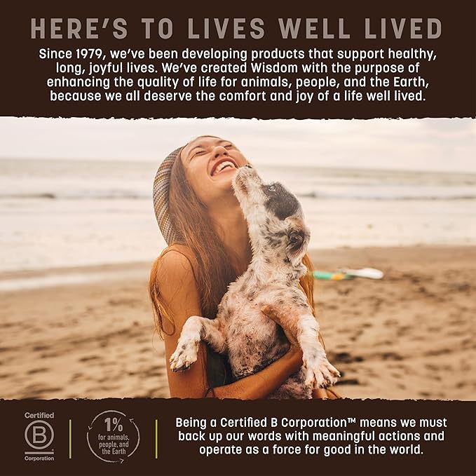 Earth Animal Wisdom Air Dried Jerky - from The Seed Recipe Premium Natural Plant Based Jerky Strips Dog Treats - 3 Pack 4 oz Bag