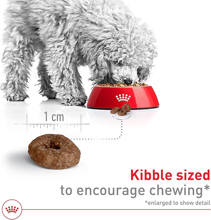 Royal Canin Size Health Nutrition Small Aging 12+ Senior Dry Dog Food, 12 lb Bag