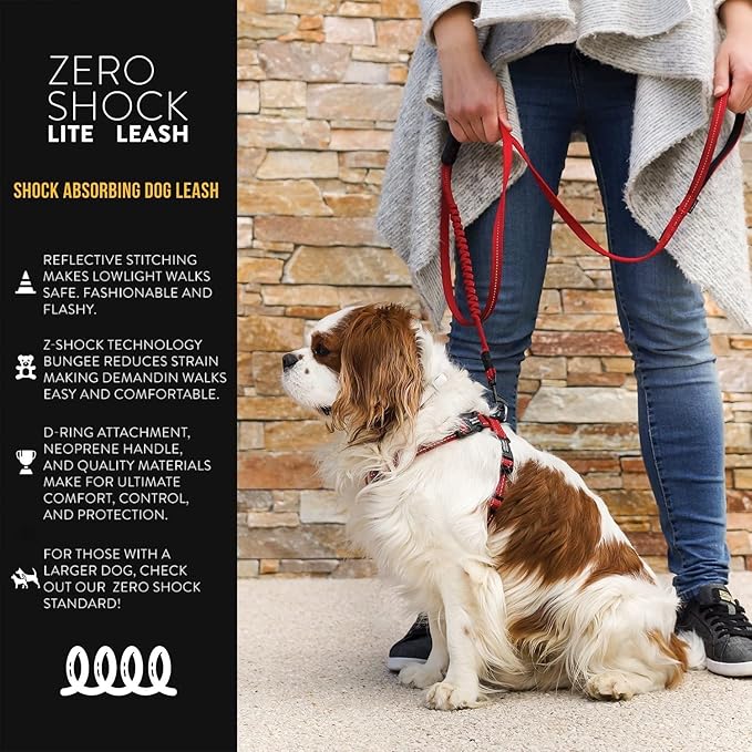 EzyDog Zero Shock LITE Dog Leash - Shock Absorbing Bungee Leash for Dogs That Pull or Excite - Dual Handle and Reflective for Medium, or Small Dogs (72", Blue)