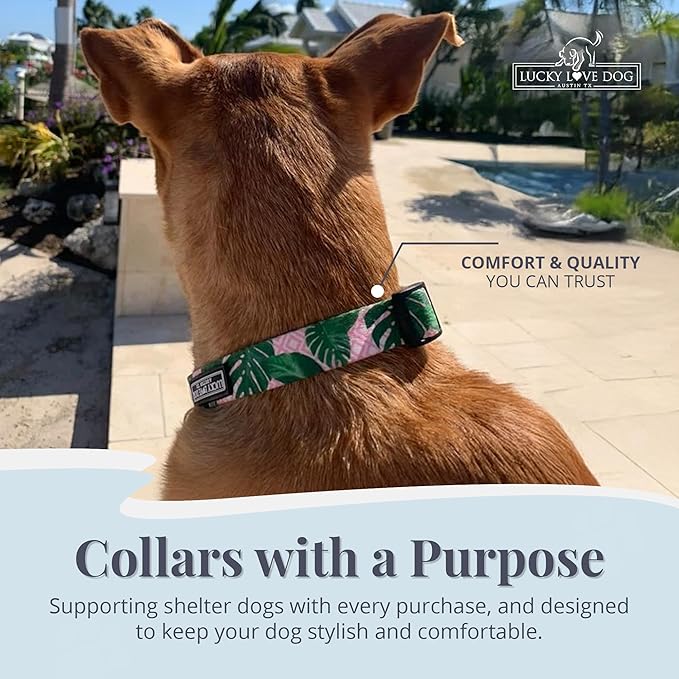 Lucky Love Dog - Adjustable Dog Collar with Easy Click Buckle for Small to Large Ones, Durable, & Comfortable for Male & Female Dogs, Pet Collar for Puppies & Adult Dogs - Laguna, Large