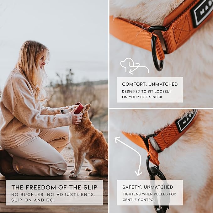 MADE TO ROAM Premium Everyday Dog Collar - Martingale Style No Pull Vegan Leather Collar, Heavy Duty and Lightweight for Small, Medium, Large Dogs (California Horizon, Size 4)