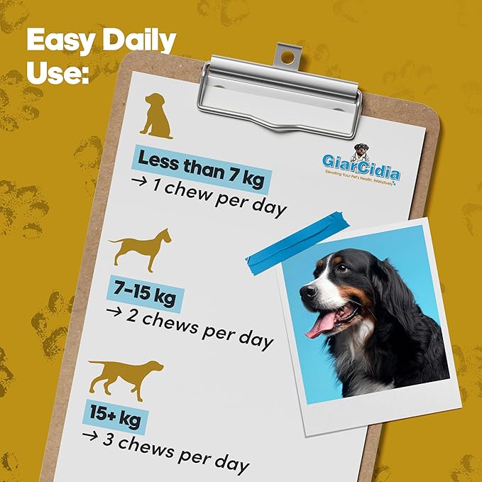 Giarcidia Allergy Relief & Immune Support Chews for Dogs – 90 Soft Chews, Chicken Flavor – Seasonal Itch, Skin, Paw Licking, Hot Spots – Dog Allergy Supplement